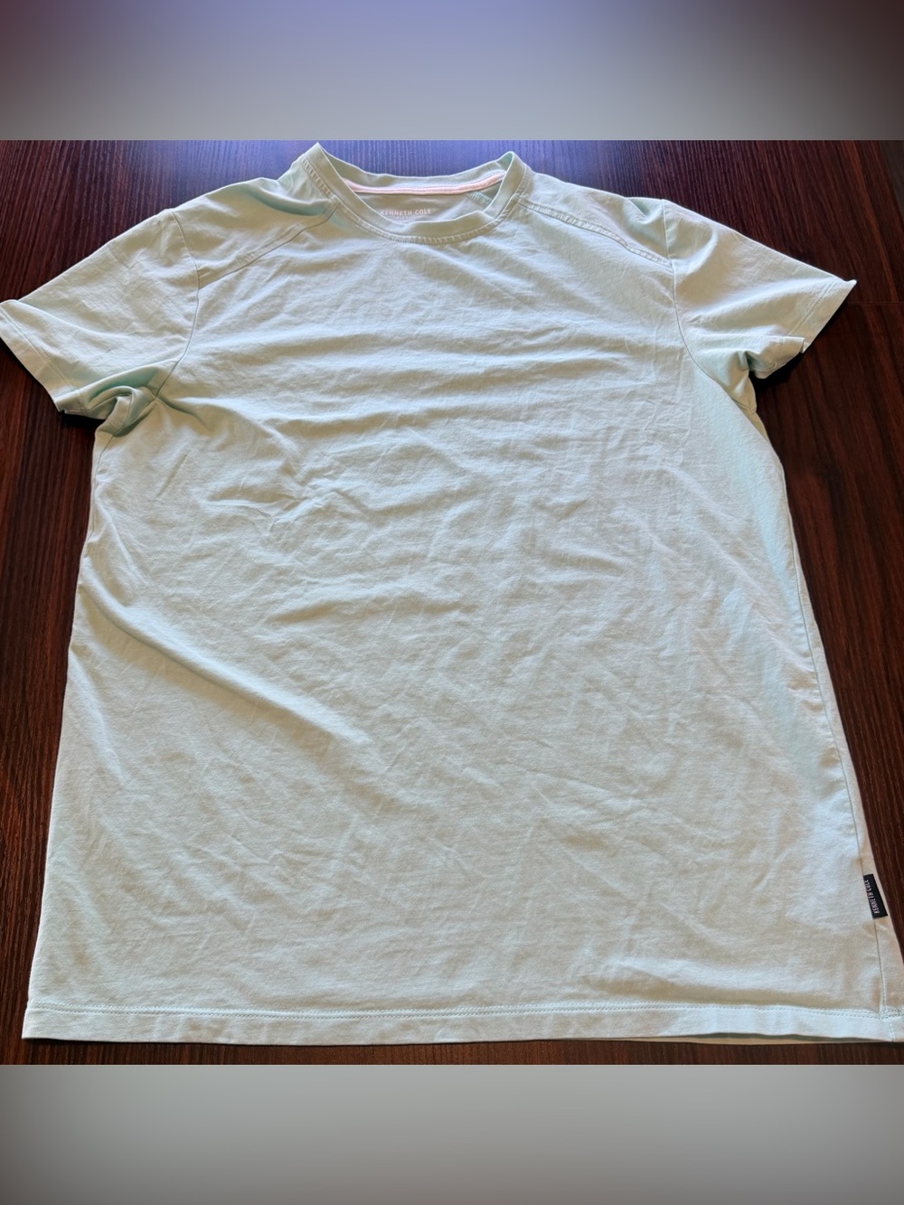 Kenneth Cole New York Mens Mint Green Short Sleeve Crewneck Tee Shirt Size M